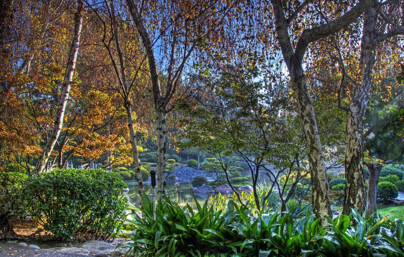 Фото обои осень, деревья, пруд, парк, камни, HDR, Калифорния, США