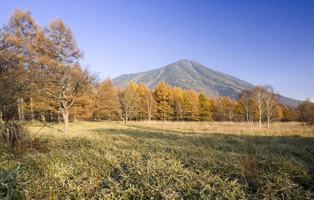 Фото обои япония, japan, Тотиги, Tochigi