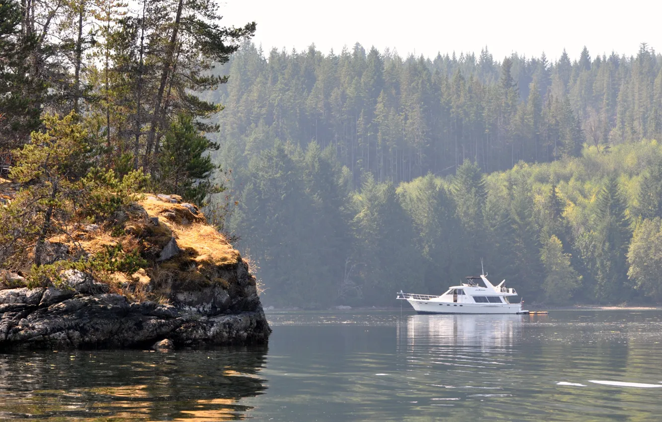 Фото обои лес, вода, берег, яхта, boat in octopus islands