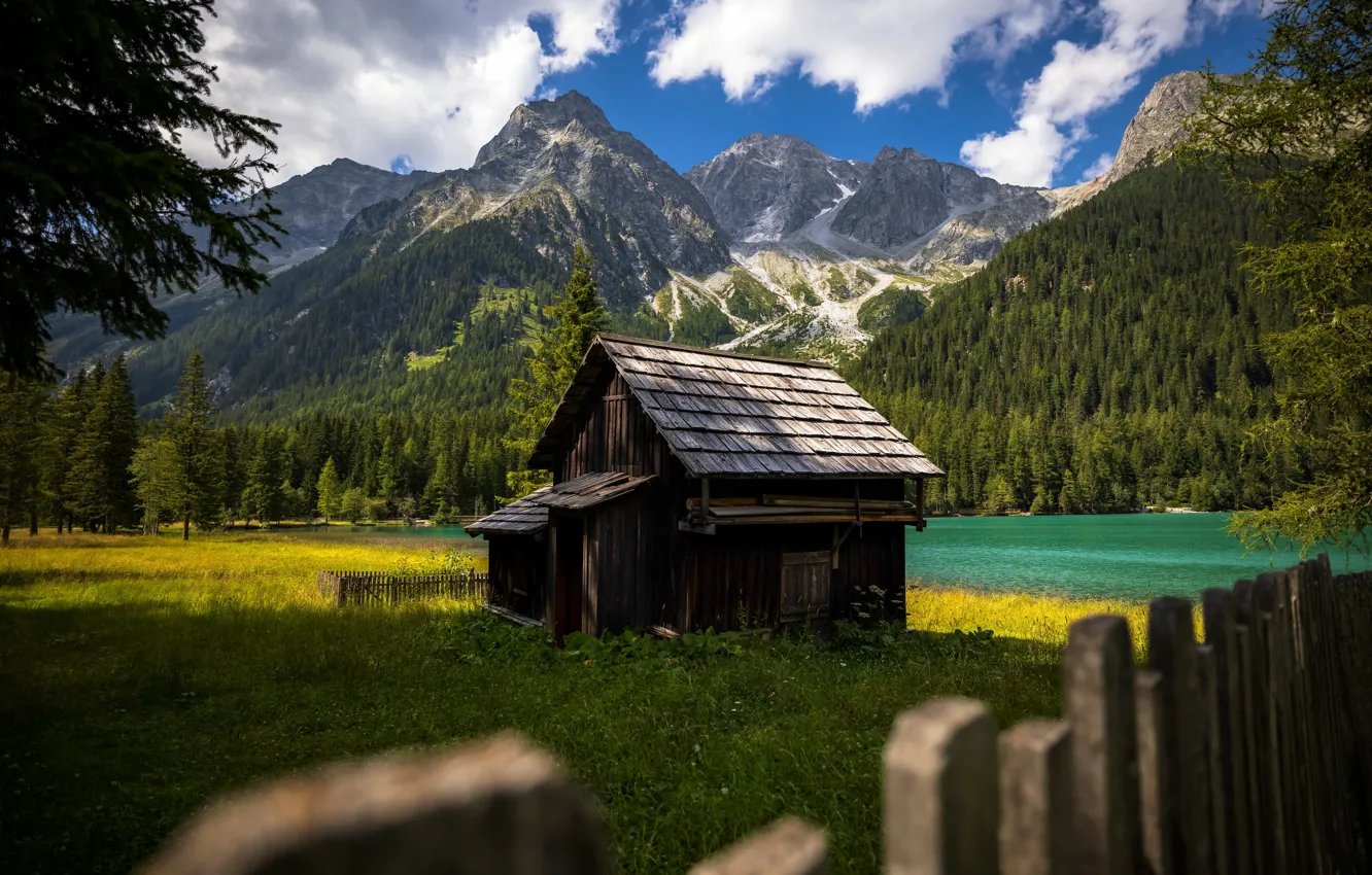 Фото обои зелень, лес, горы, Альпы, домик