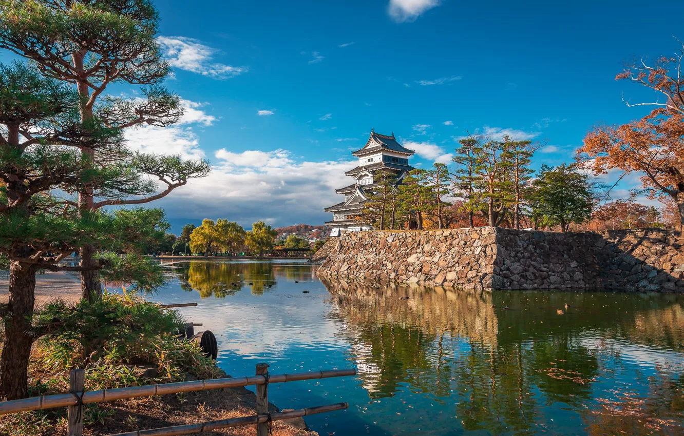 Фото обои вода, деревья, замок, Япония, сосны, Japan, ров, Matsumoto