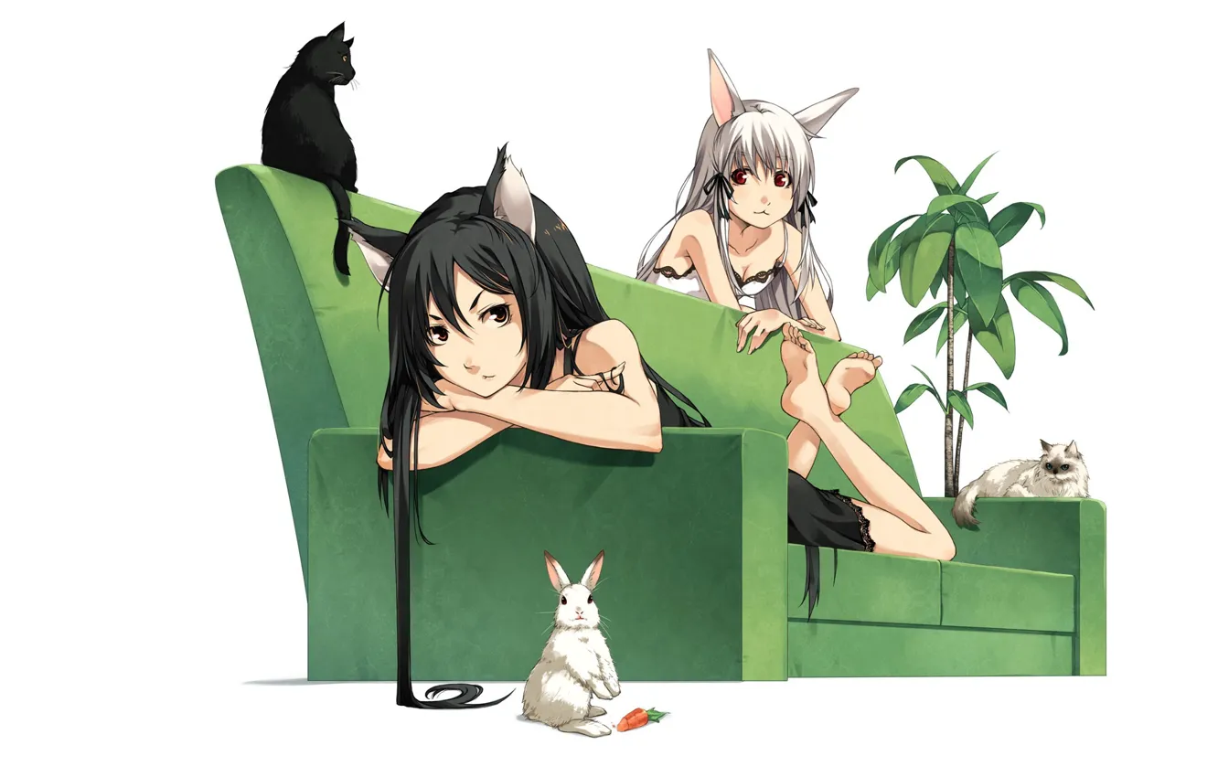 Фото обои морковка, хвост, черные волосы, черный кот, лежит на диване, фикус, белый кролик, neko girl