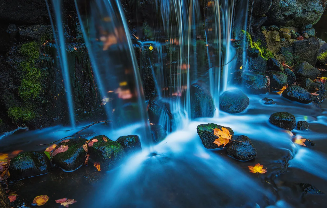 Фото обои осень, листья, камни, скалы, водопад, листопад, голубая вода, кленовые