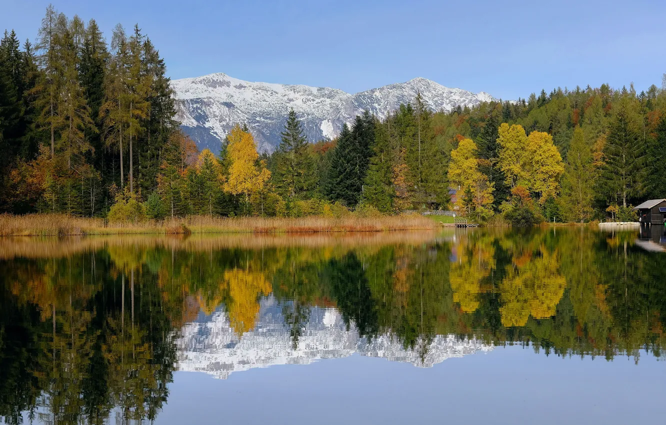 Фото обои осень, лес, снег, деревья, горы, отражение, берег, вершины