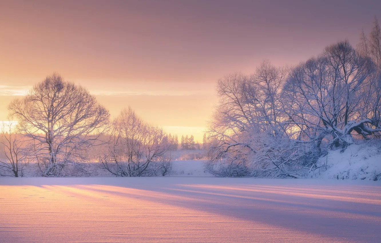 Фото обои зима, снег, деревья, рассвет, утро, мороз, Роман Мурашов