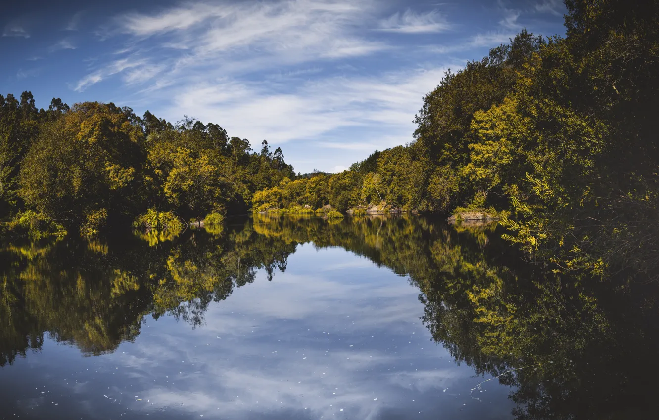 Фото обои river, sky, trees, reflection