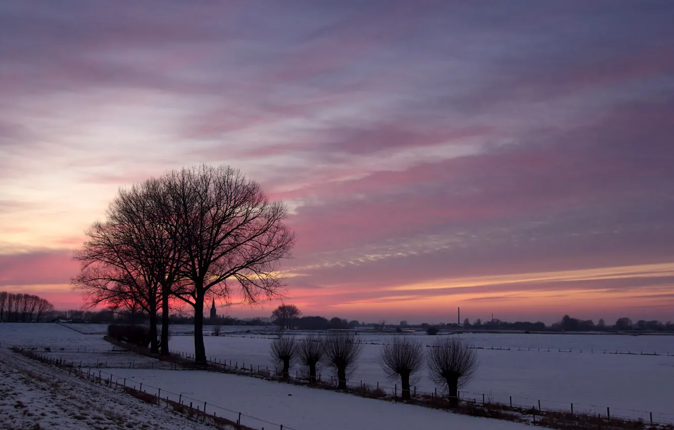 Фото обои зима, поле, деревья, пейзаж, закат, природа