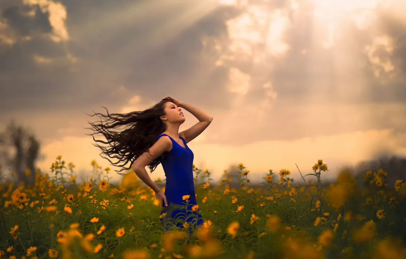 Фото обои поле, девушка, цветы, солнечные лучи