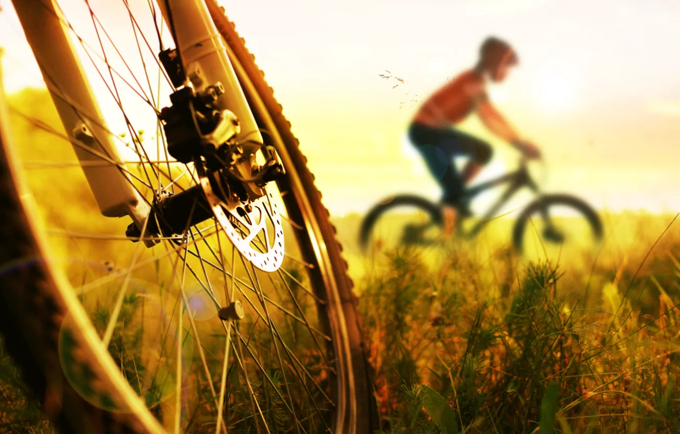 Фото обои legs, bike, sunset, cycling