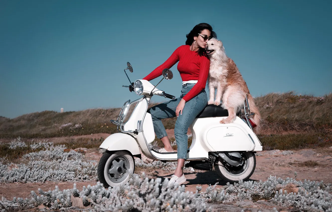 Фото обои девушка, настроение, побережье, собака, джинсы, друзья, мотороллер, скутер