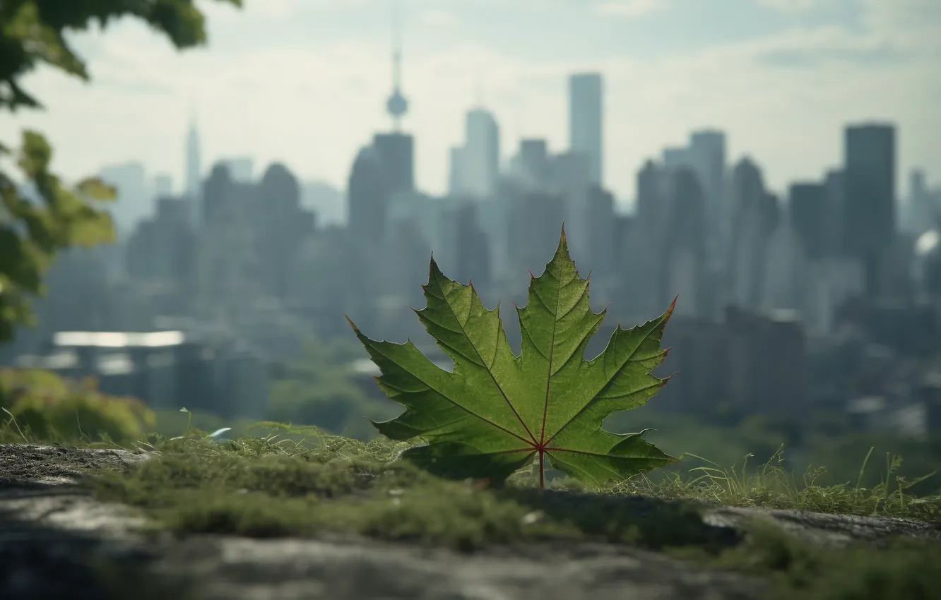 Фото обои листья, город, зеленый, туман, листок, даль, небоскребы, дымка