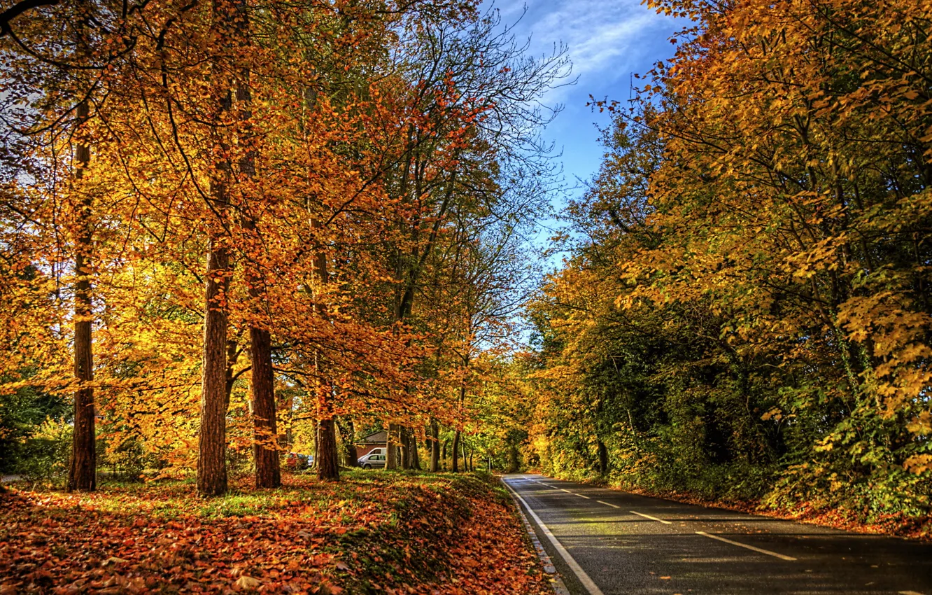 Фото обои дорога, осень, листья, природа, фото