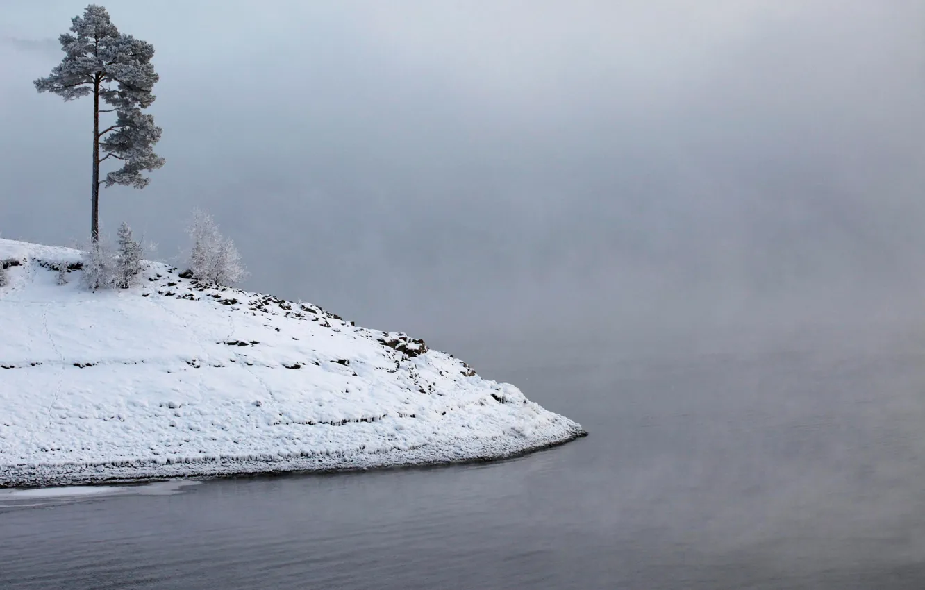Фото обои иней, вода, снег, туман, река, остров, Зима, сосна