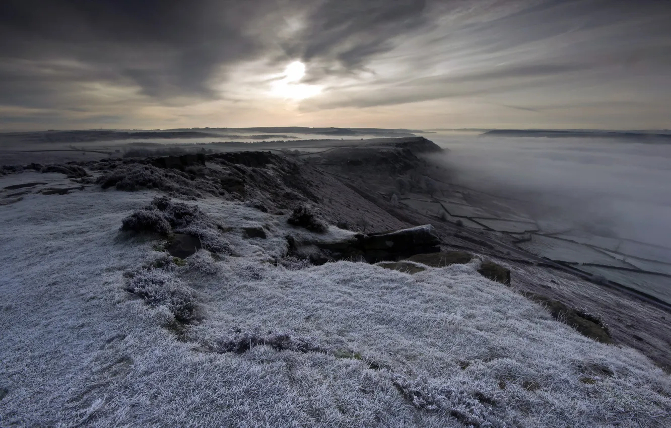 Фото обои поле, пейзаж, туман, вечер