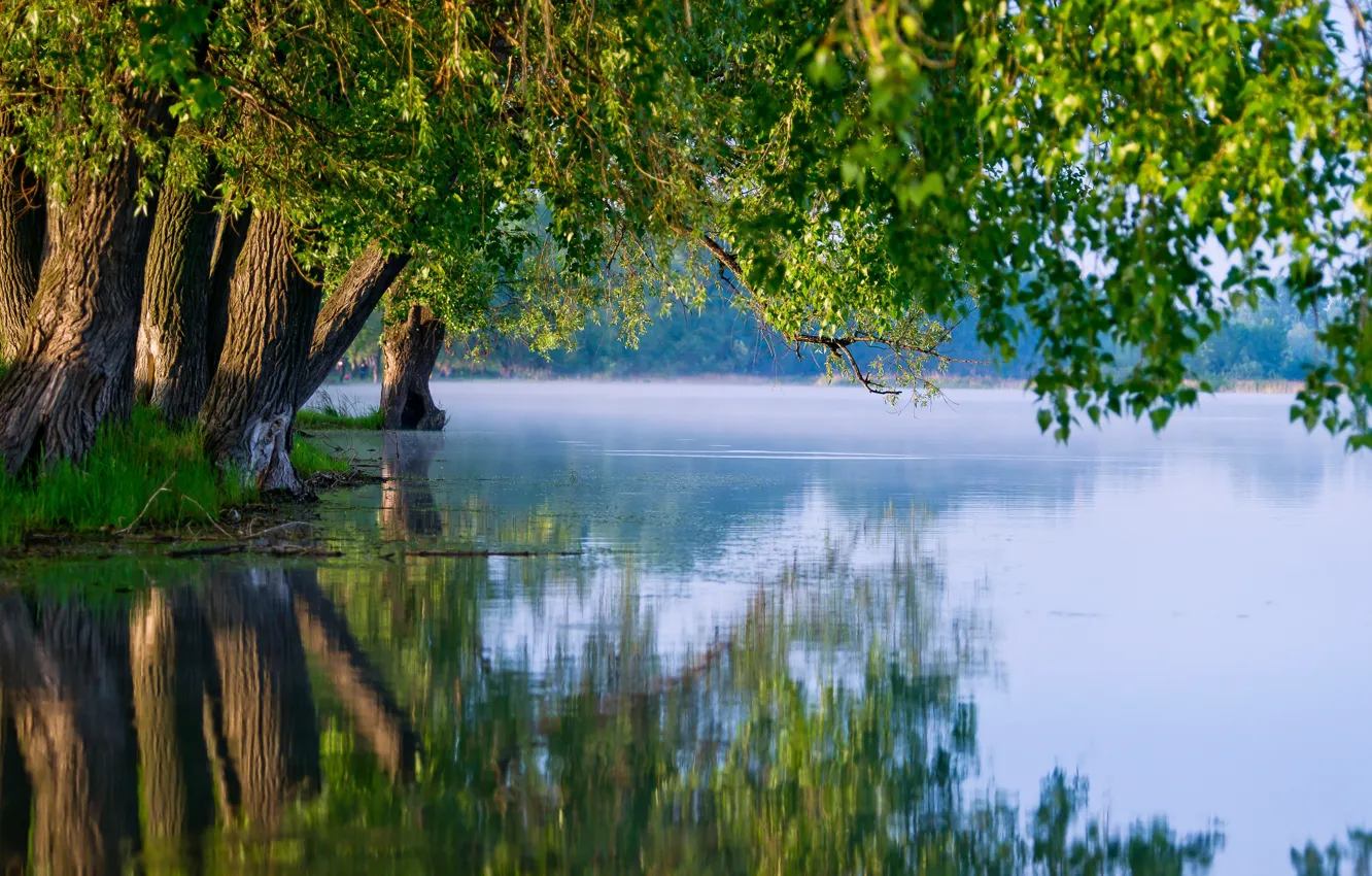 Фото обои лето, деревья, природа, озеро, отражение