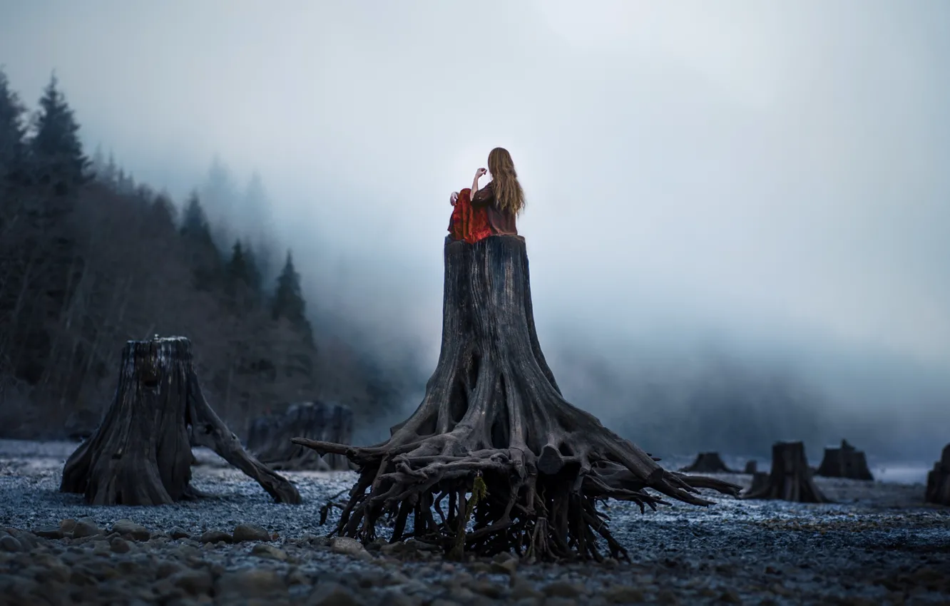 Фото обои лес, туман, одиночество, Девушка