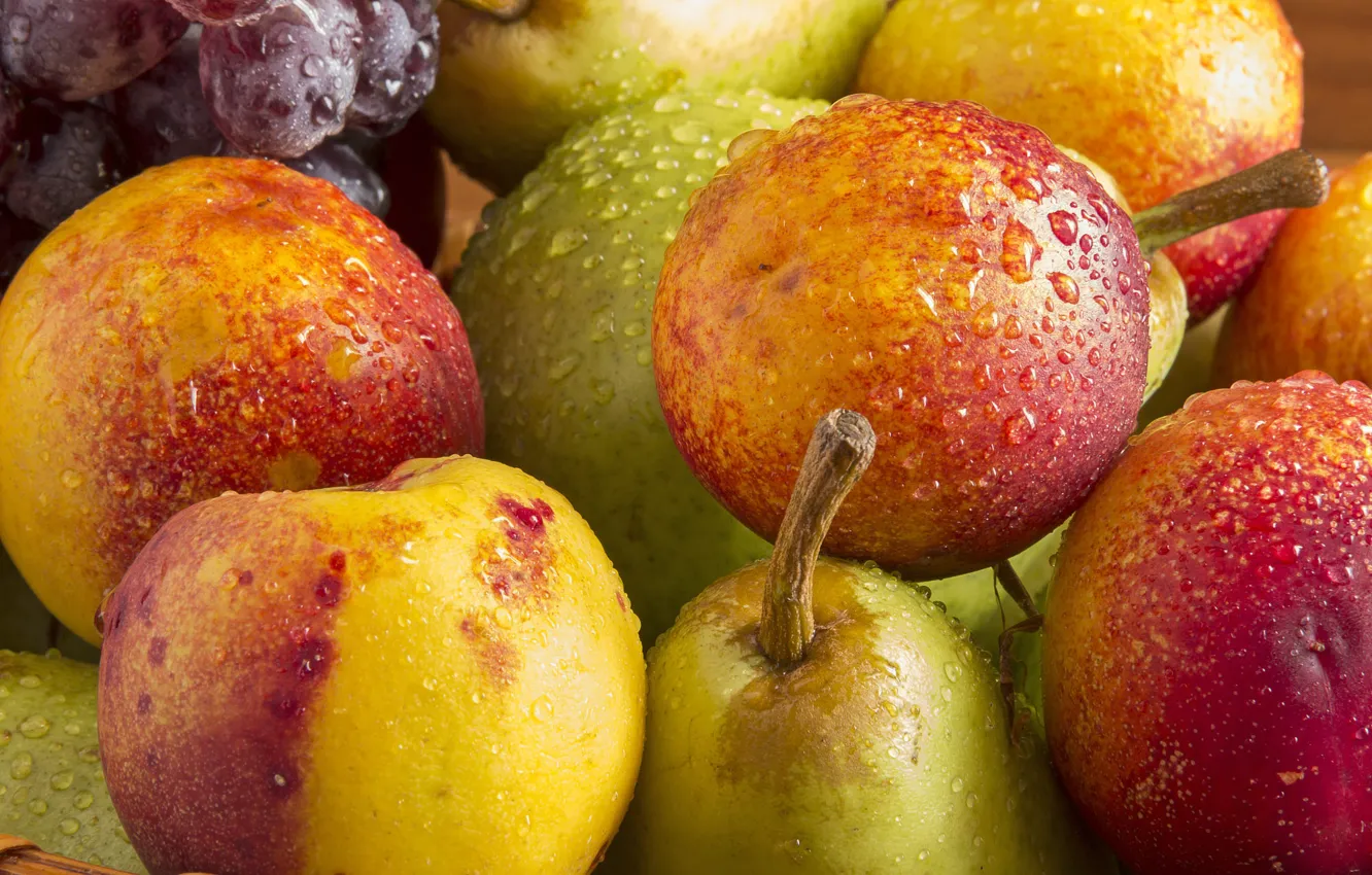 Фото обои капли, желтый, красный, зеленый, урожай, виноград, фрукты, груши
