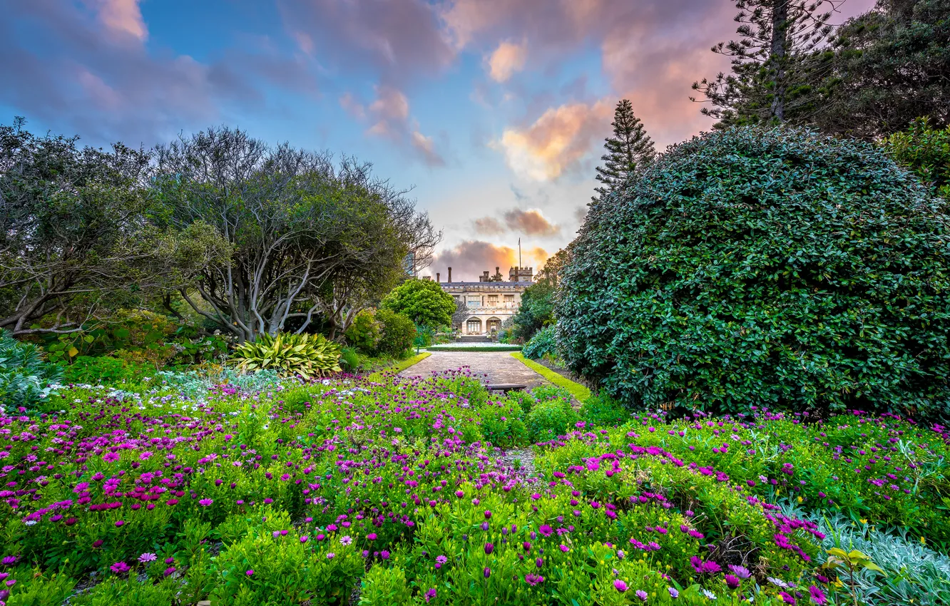 Фото обои природа, здание, сад, Sydney, Government House, the Royal Botanic Gardens