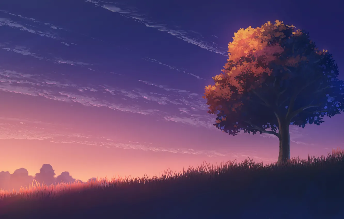 Фото обои осень, небо, закат, дерево