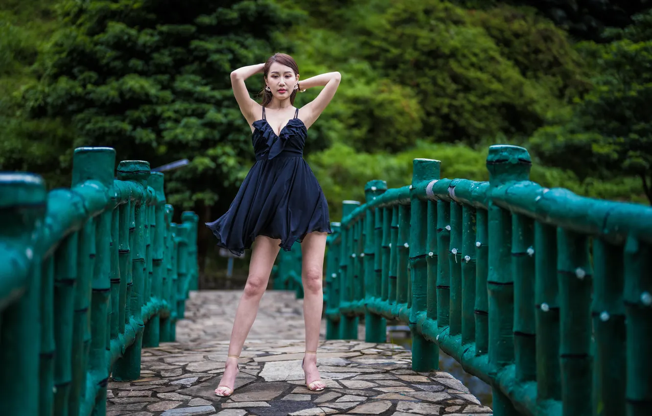 Фото обои деревья, мост, декольте, азиатка, черное платье, cleavage, trees, bridge