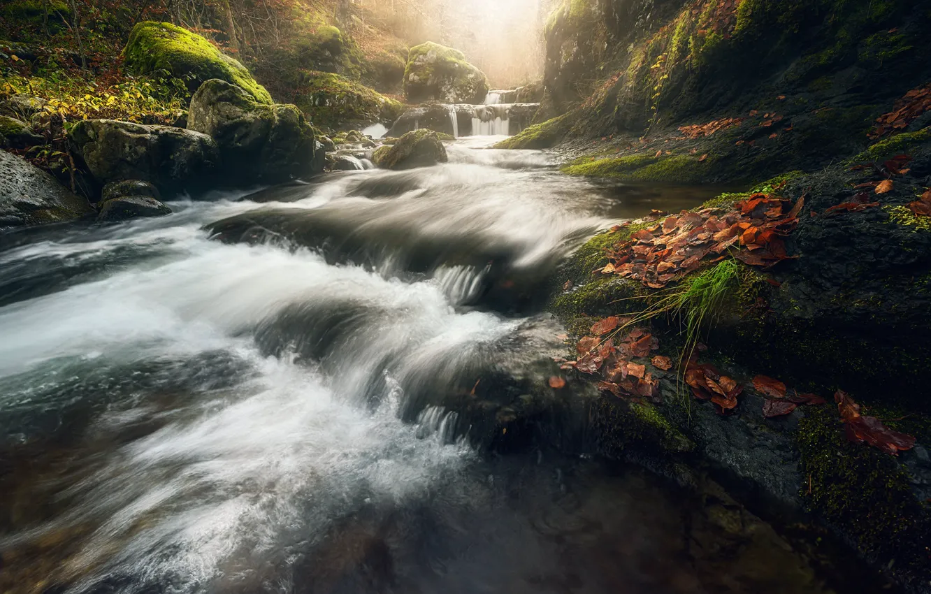 Фото обои камни, водопад, осенние листья, пток