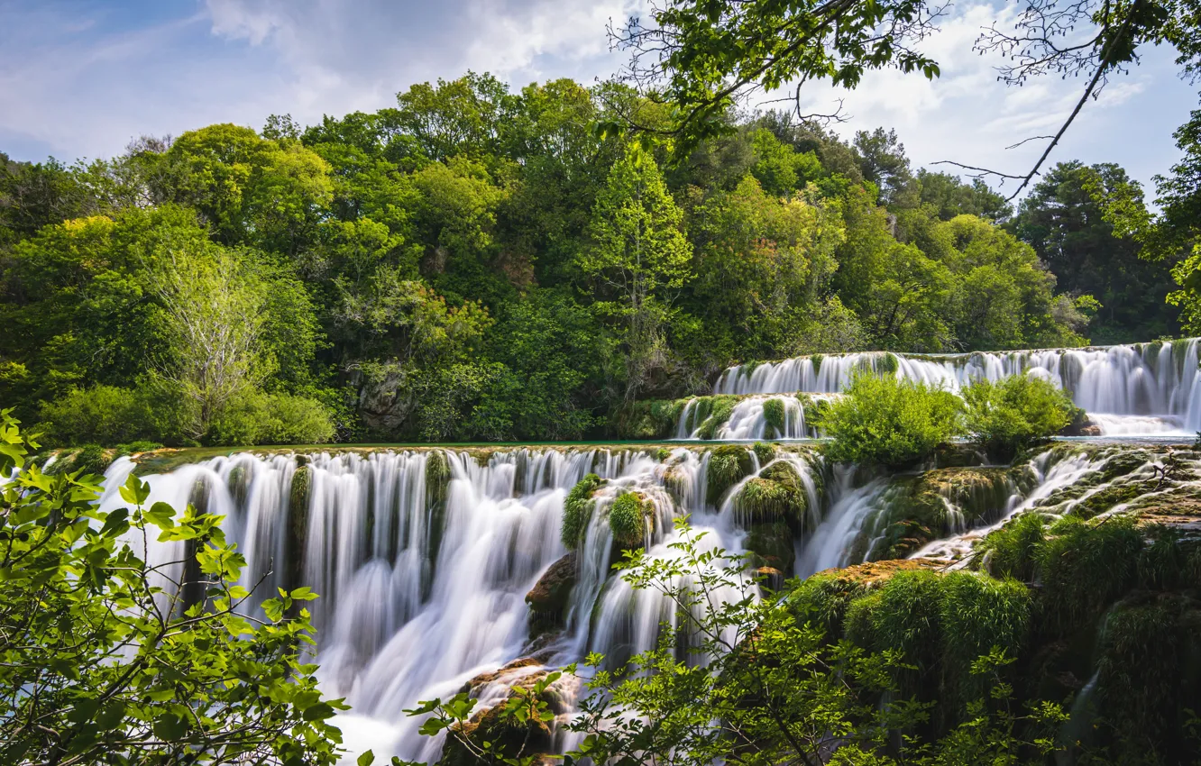 Фото обои лес, лето, деревья, водопад, каскад, Хорватия, Croatia, Krka National Park