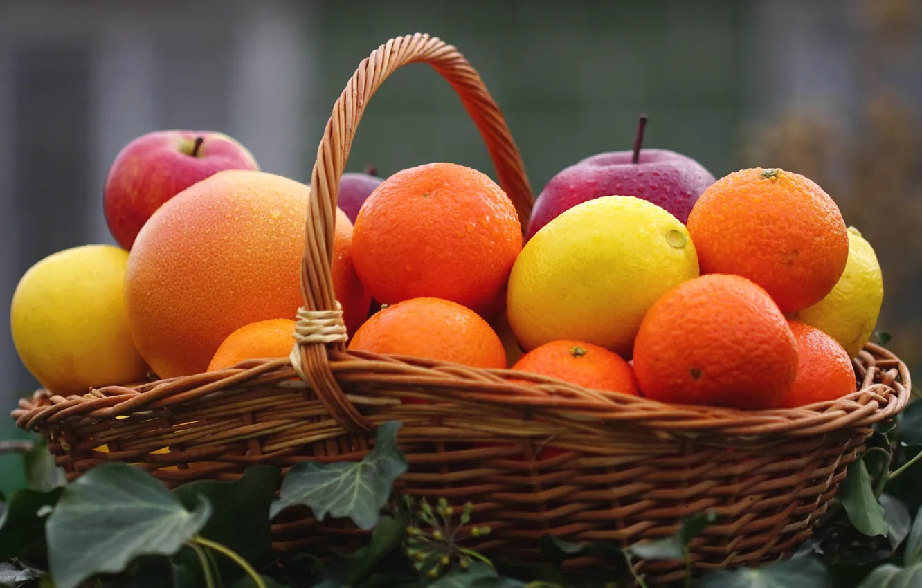 Фото обои лимон, корзина, яблоко, апельсин, фрукты, цитрусы, мандарин