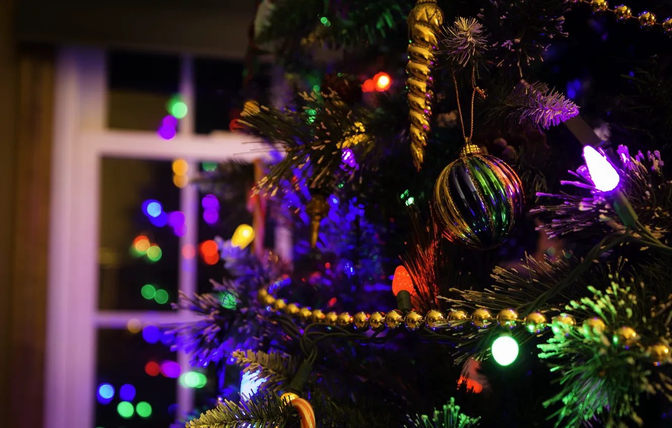 Фото обои праздник, Christmas, Reflections