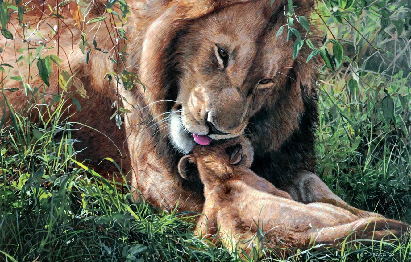 Фото обои лев, арт, ласка, львёнок, Fathers Day, Terry Isaac, отцовство
