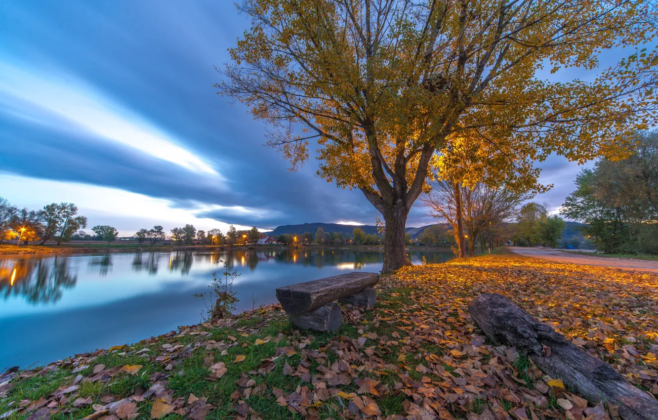 Фото обои осень, листья, деревья, озеро, скамья, Хорватия, Croatia, Lake Zajarki