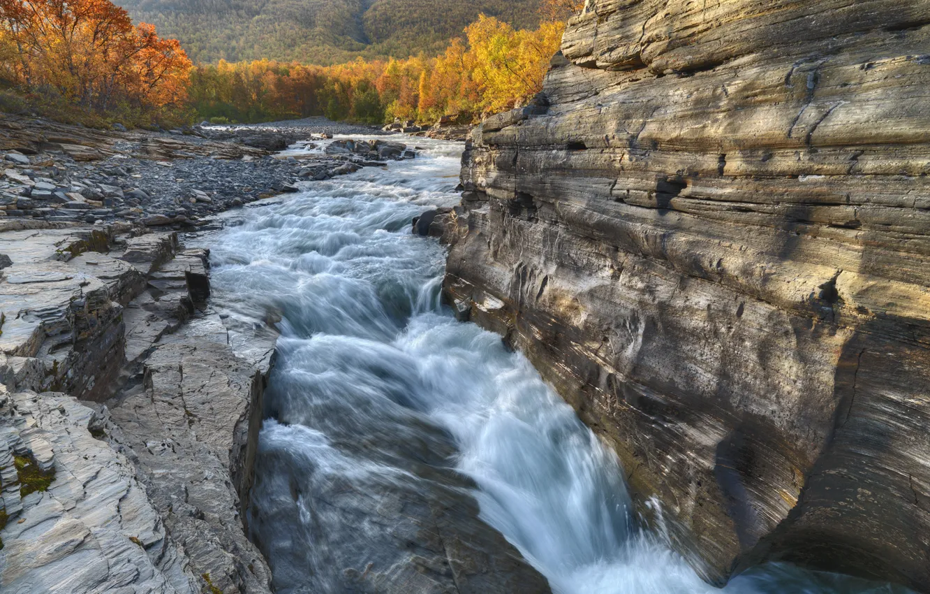 Фото обои осень, скала, река, Швеция, Sweden, Abisko River, Abisko National Park