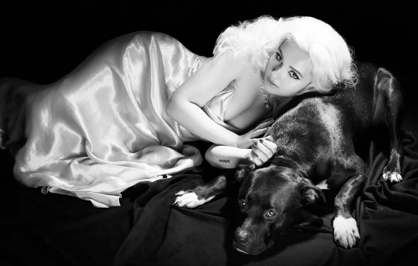 Фото обои фото, собака, платье, актриса, прическа, блондинка, черно-белое, журнал