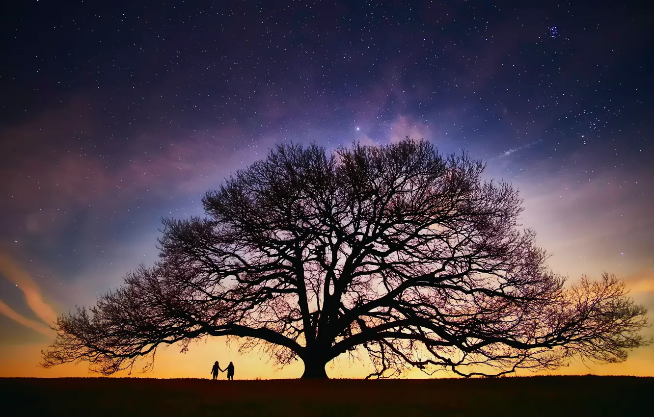 Фото обои небо, звезды, ночь, люди, дерево, вечер, пара, млечный путь