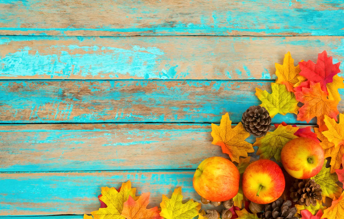 Фото обои осень, листья, фон, яблоки, colorful, шишки, wood, background