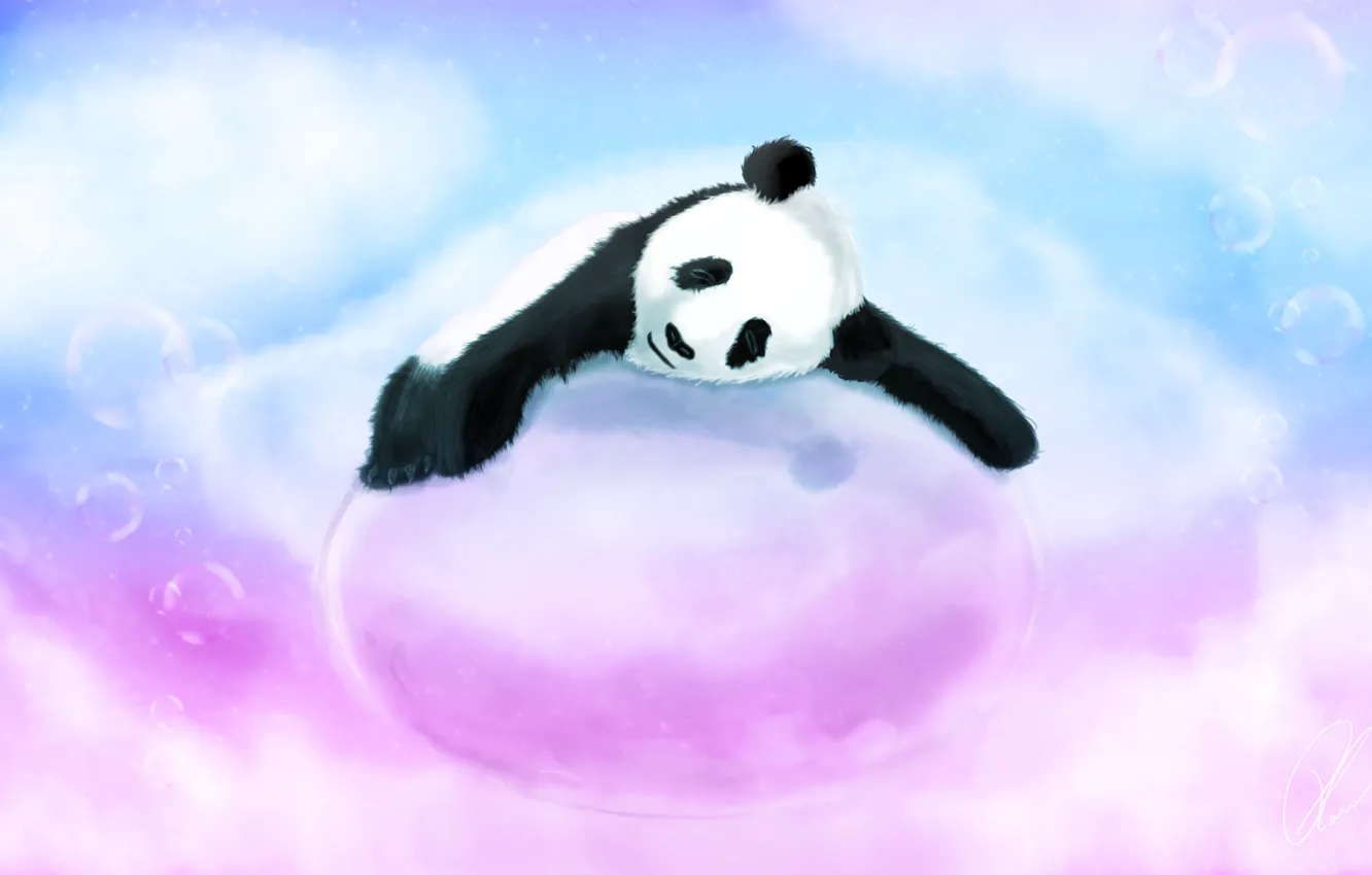 Фото обои пузырьки, голубое, медведь, розовое, панда, спит, пузырь, лежа