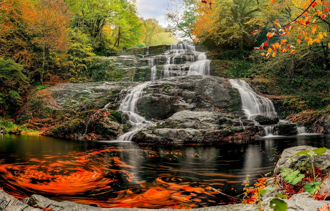 Фото обои осень, вода, скала, водопад, потоки