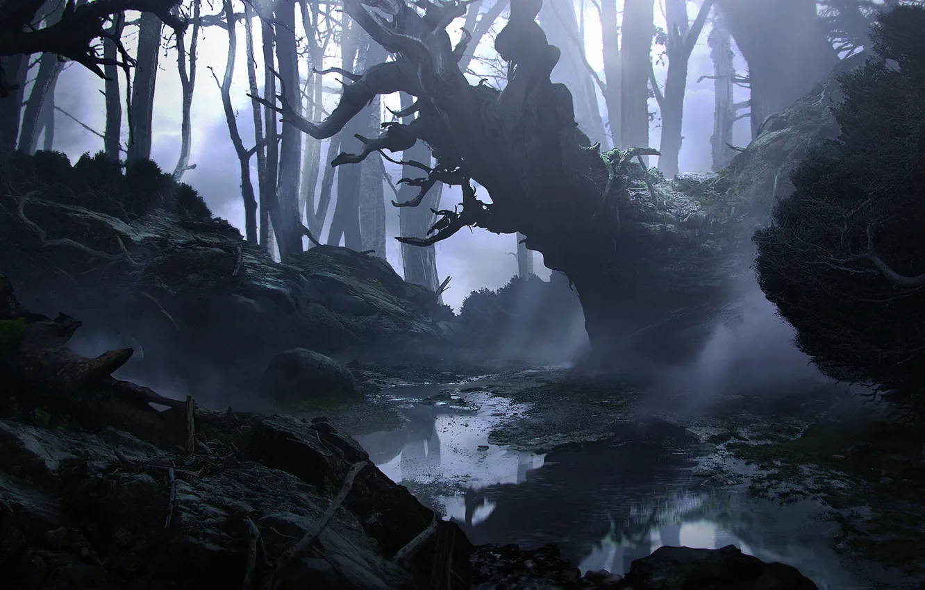 Фото обои лес, деревья, туман, река, арт