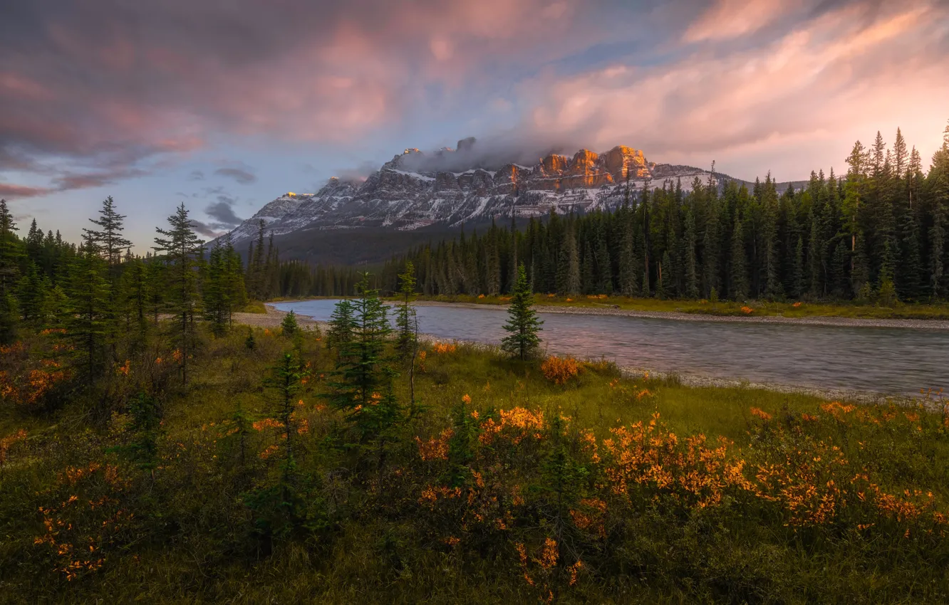 Фото обои лес, горы, река, ели, Канада, Альберта, Banff National Park, Alberta