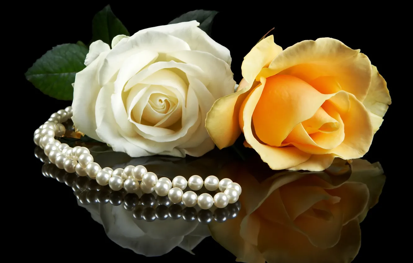 Фото обои белый, цветы, желтый, фон, черный, розы, жемчуг, парочка