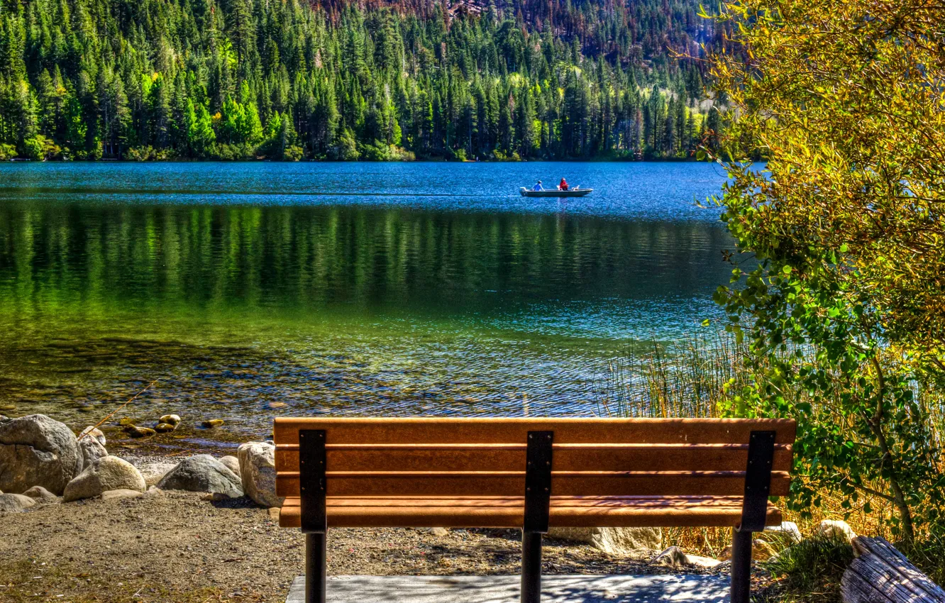 Фото обои лес, деревья, скамейка, озеро, камни, берег, лодка, Калифорния