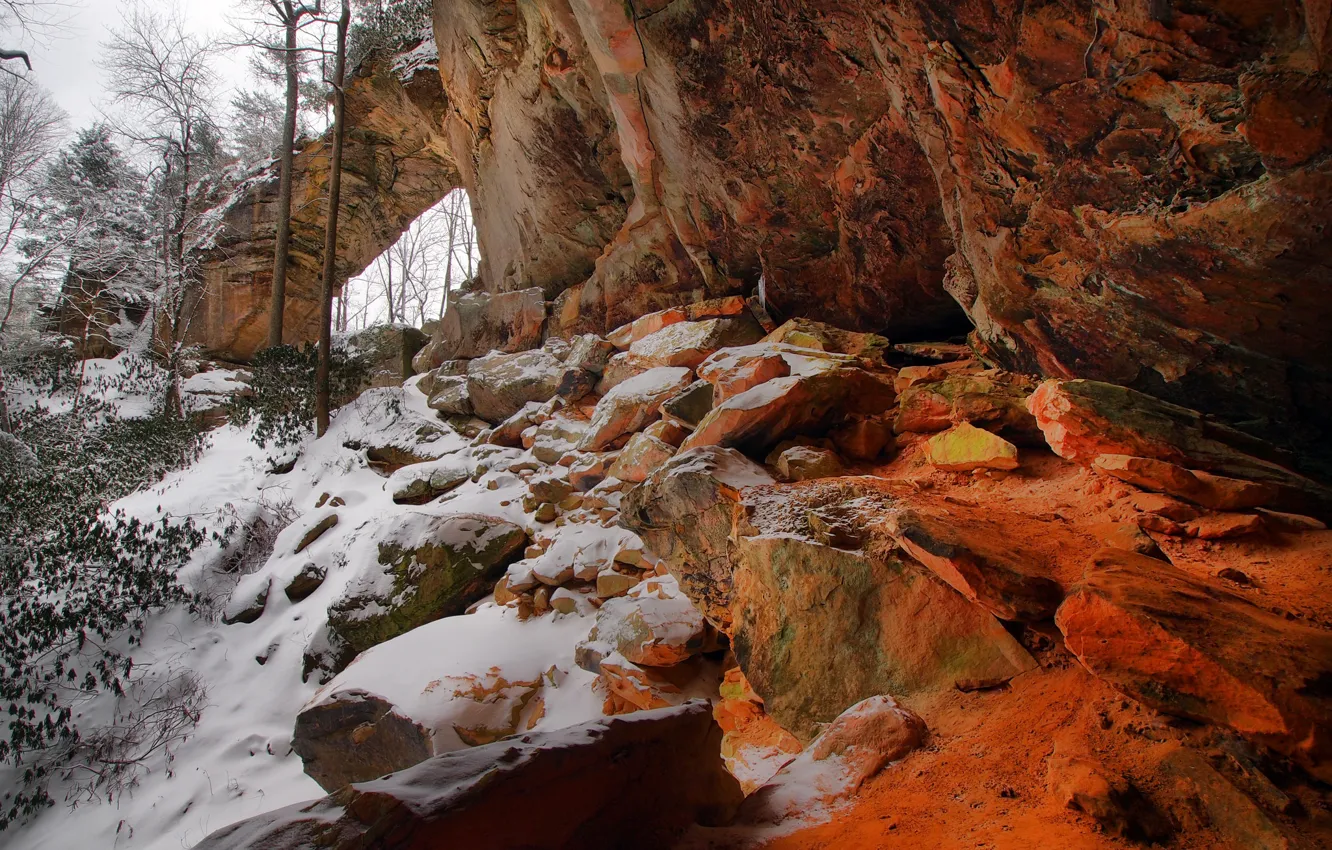 Фото обои зима, снег, деревья, скала, США, Огайо, Винтон
