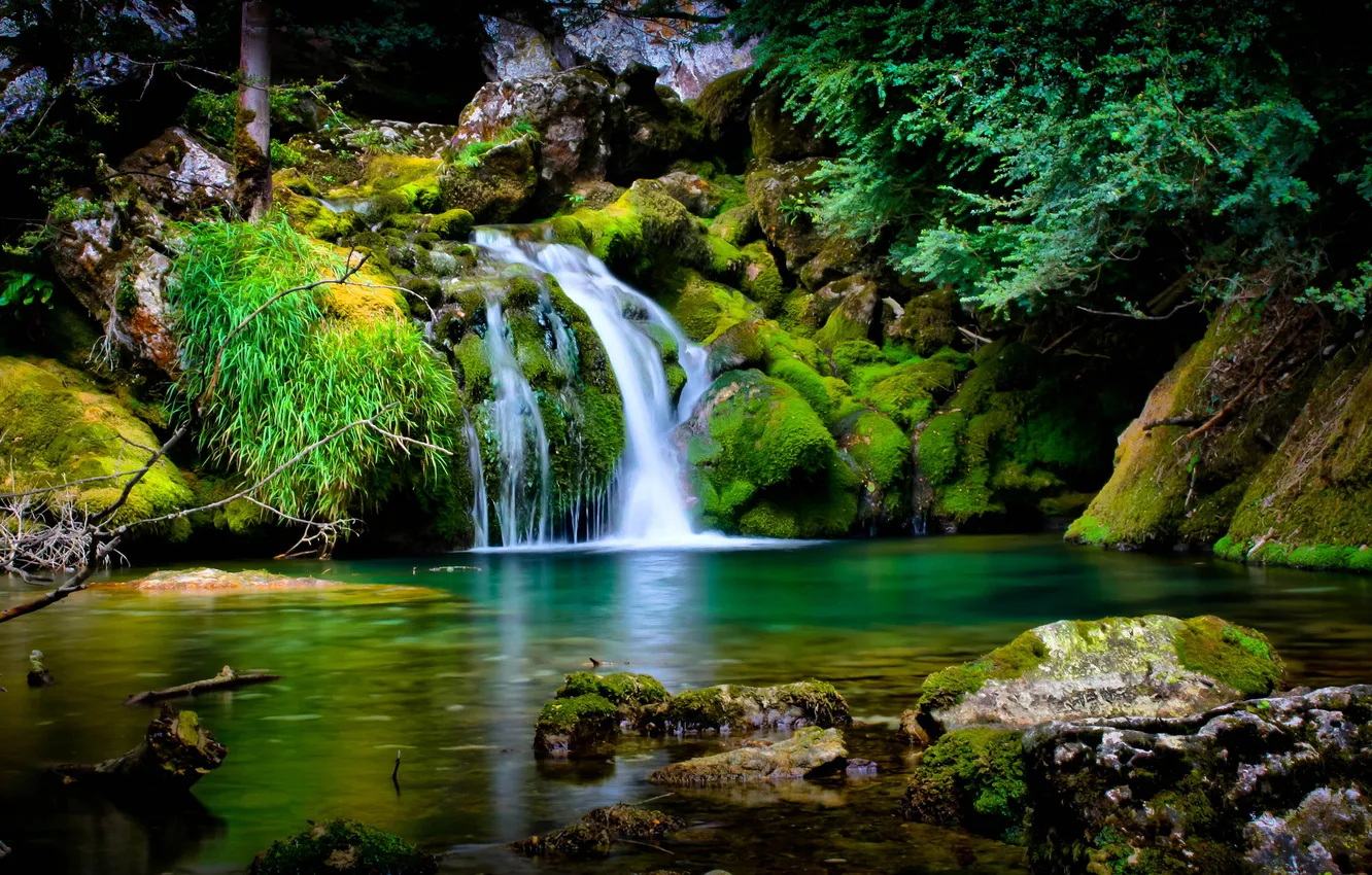 Фото обои зелень, ручеек, водопад но маленький