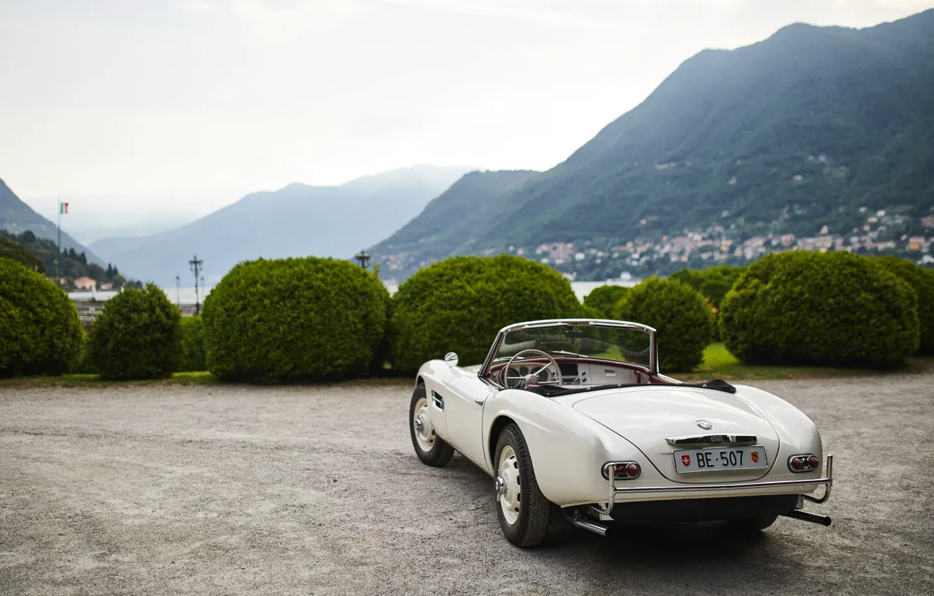 Фото обои BMW, convertible, 507, rear view, BMW 507, iconic