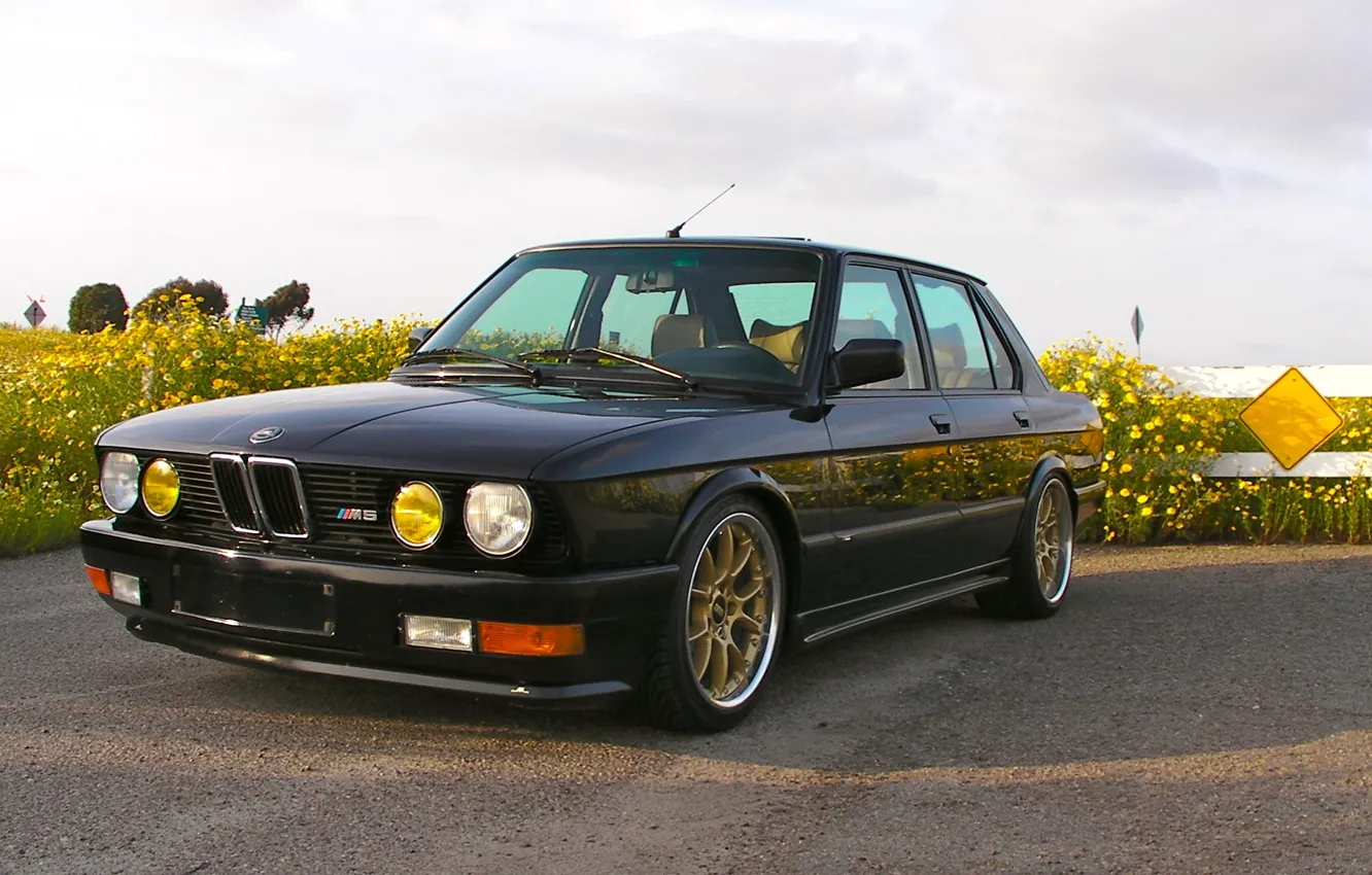 Фото обои BMW, E28, m5