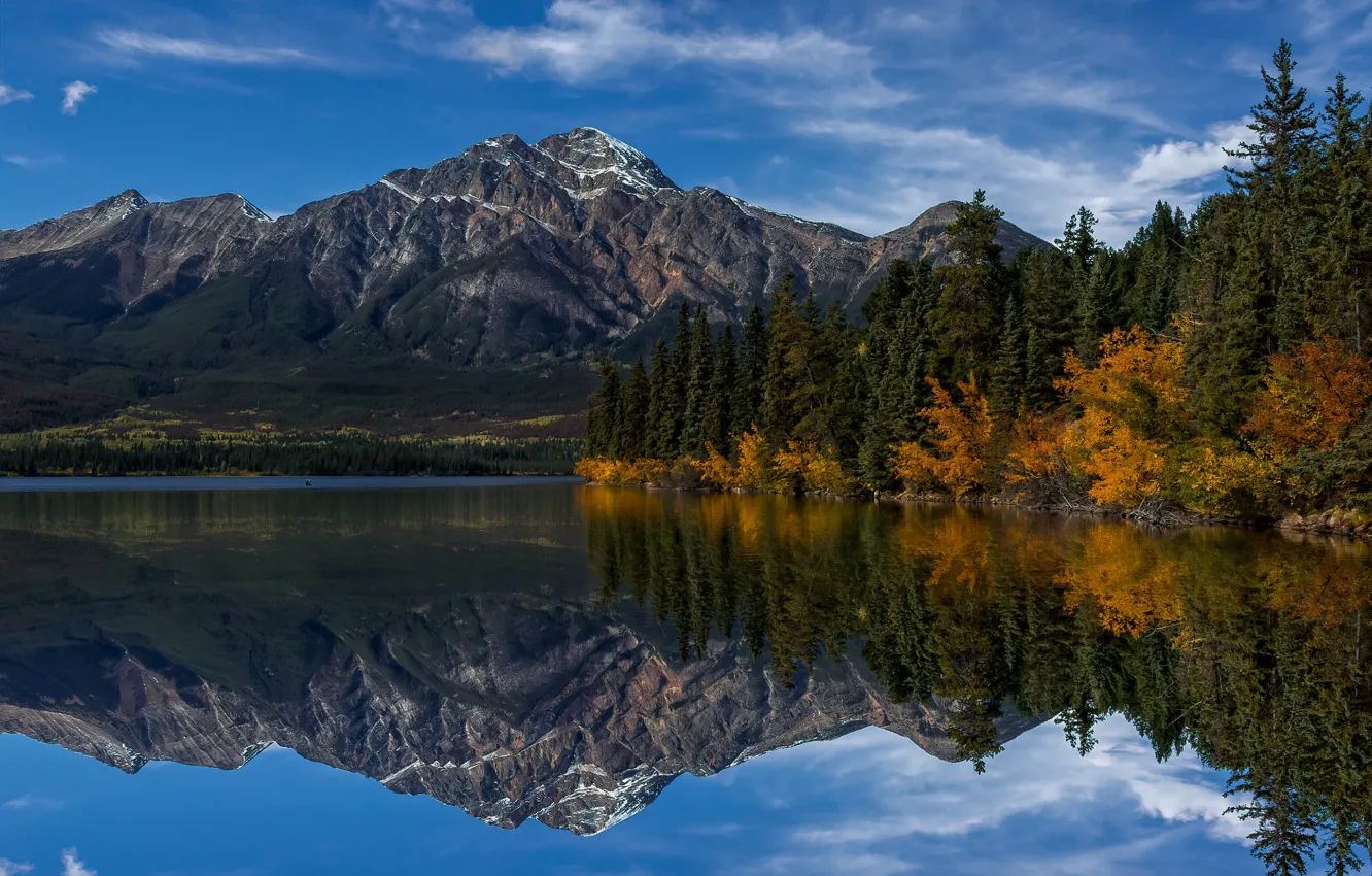Фото обои лес, деревья, горы, озеро, отражение, берег, Канада, Альберта