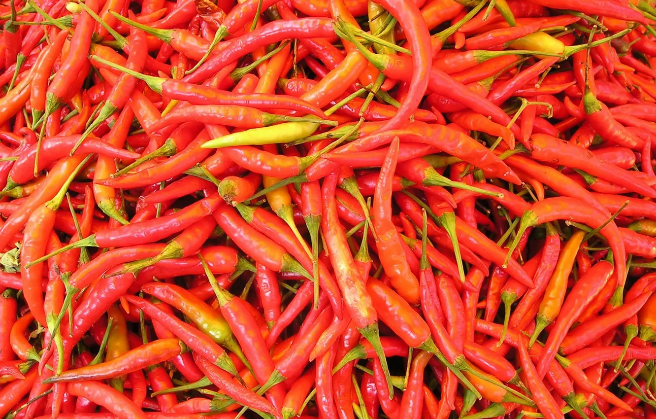 Фото обои hot, food, pepper, vegetable, chili pepper