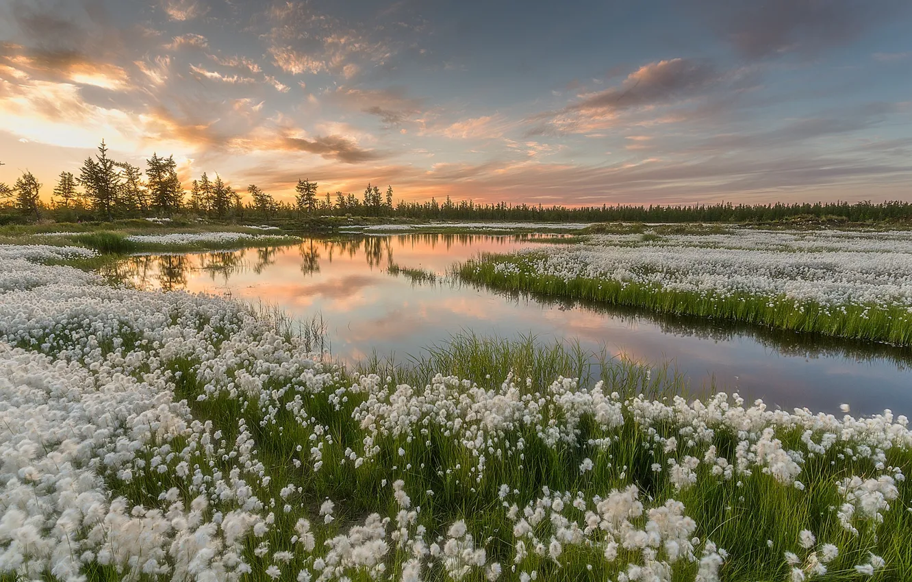 Фото обои небо, пейзаж, закат, природа, озеро