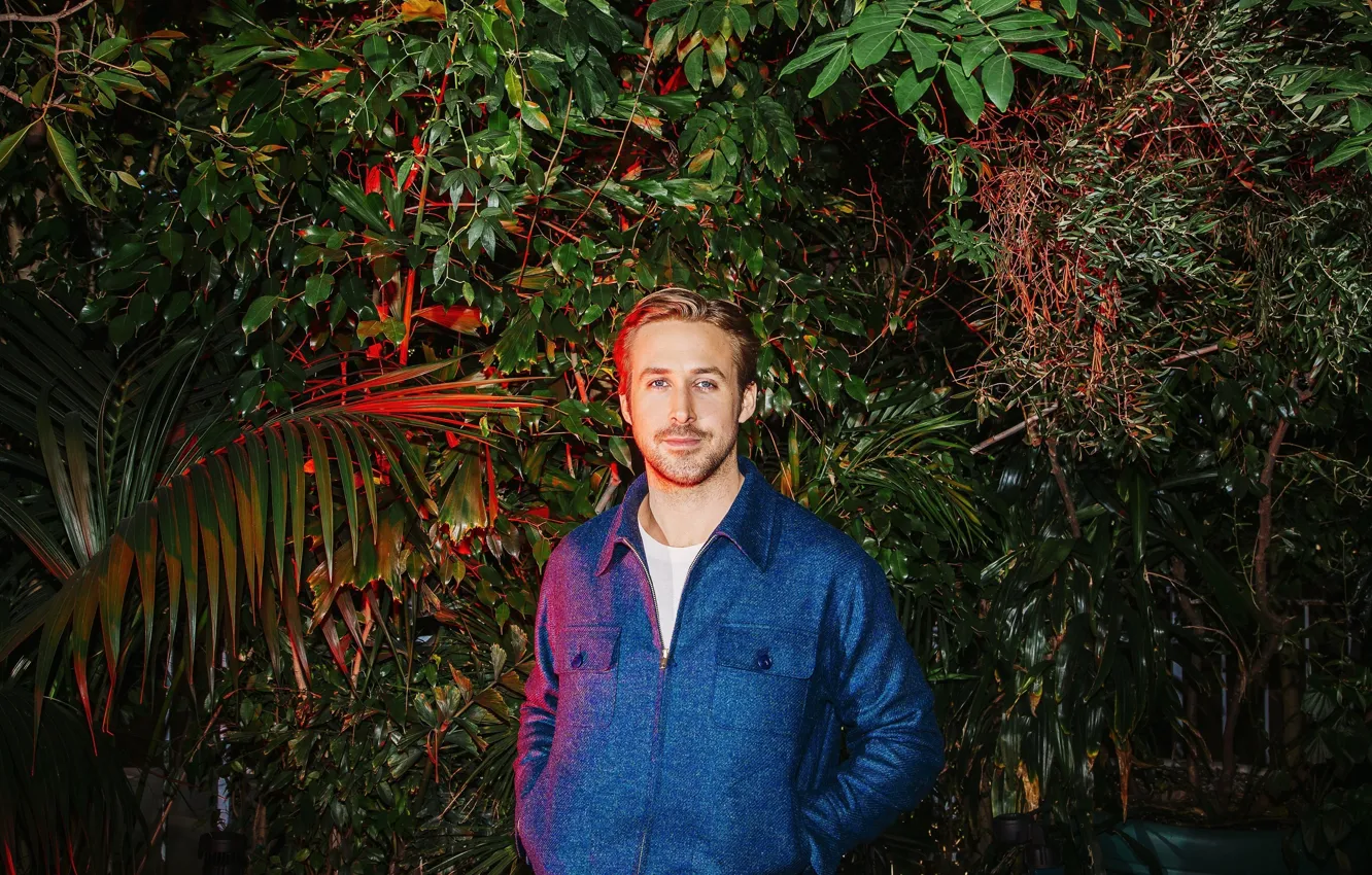 Фото обои ночь, сад, актер, кусты, фотосессия, Ryan Gosling, Райан Гослинг, 2015