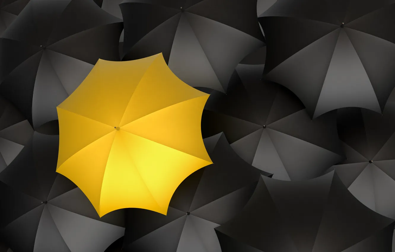 Фото обои желтый, зонты, черный цвет