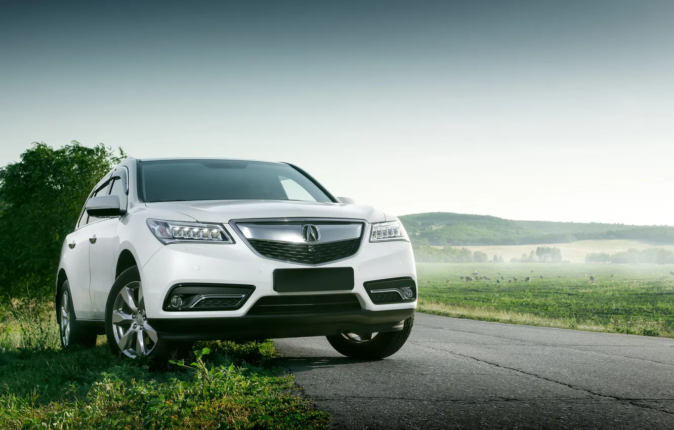 Фото обои car, auto, asphalt, acura, drive, automobile, editorial, automotive